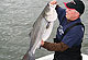 Catch Lake Anna Stripers Now!