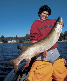 Eagle River Chain Muskies