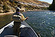 Trout On The Yakima River