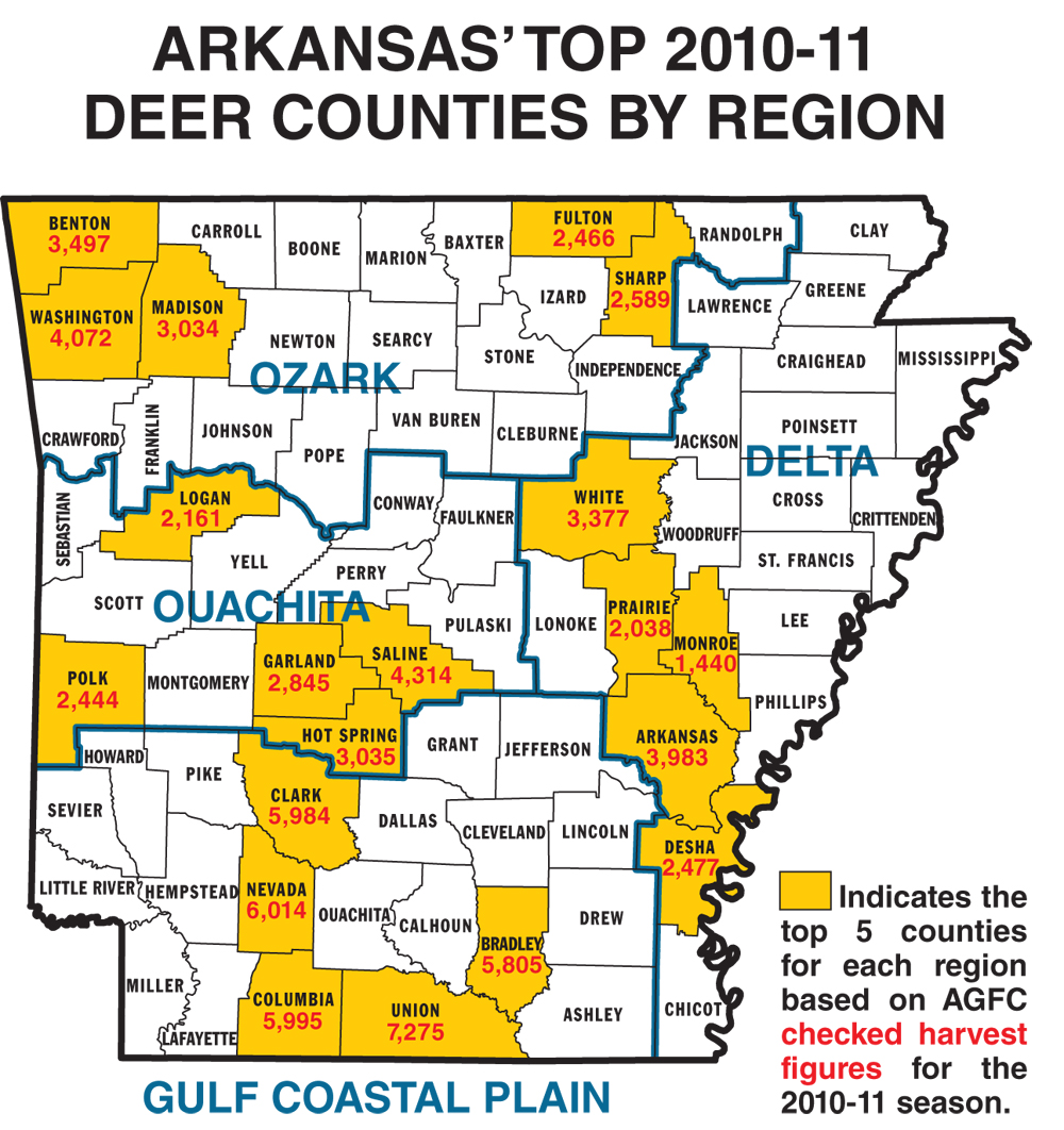 2011 Arkansas Deer Forecast...Our Top Hunting Areas