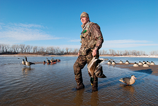 Tips Tactics For Hunting Mallard Ducks Game Fish