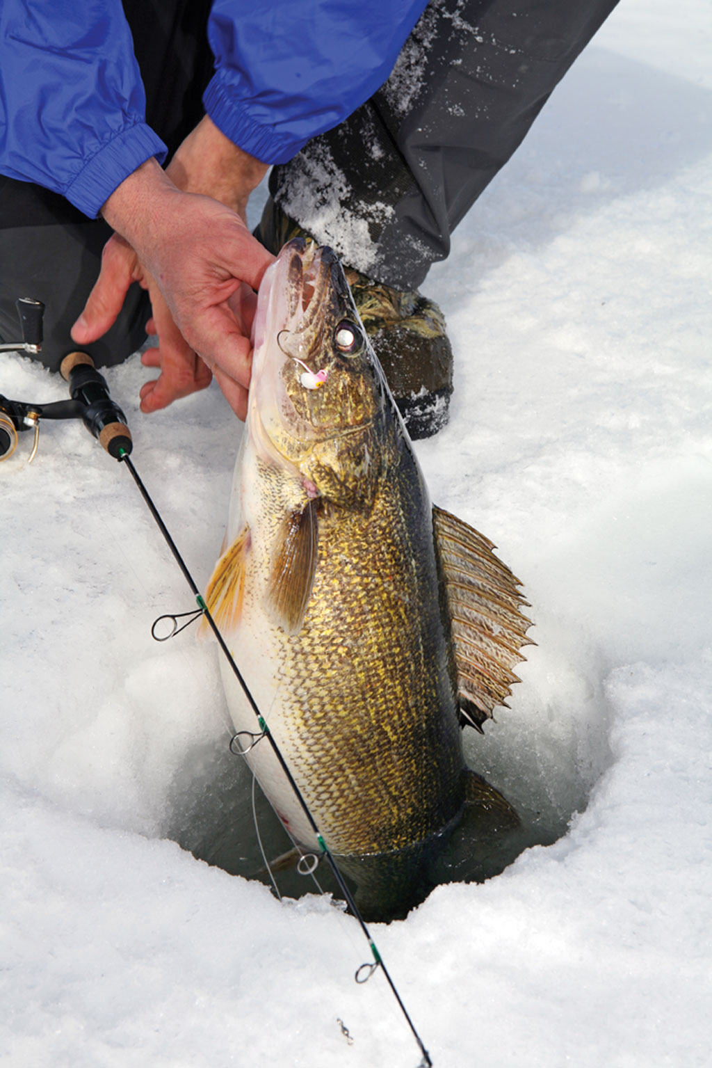Nebraska, South Dakota & North Dakota Ice-fishing Forecasts