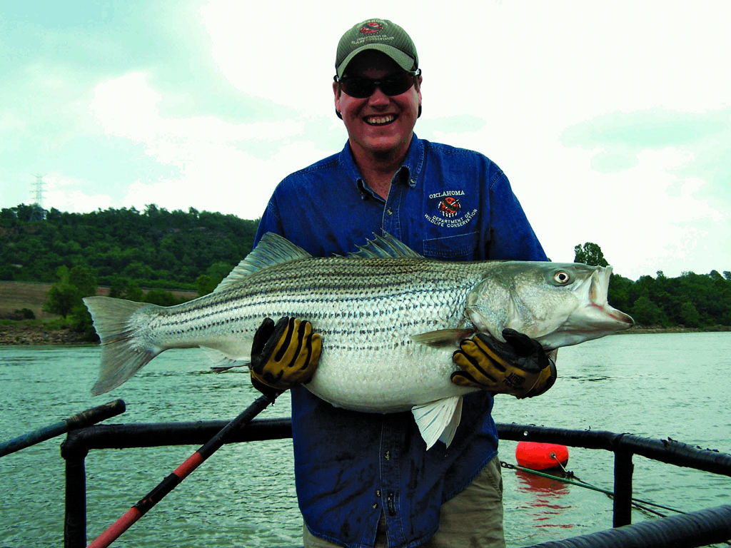 Midwinter Stripers and Wipers Options