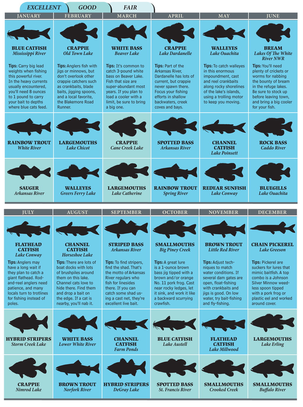 Top Spots for Arkansas Fishing in 2012