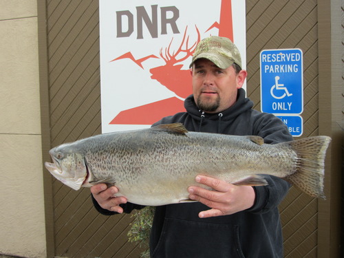 15-Pounder Shatters Utah Tiger Trout Record