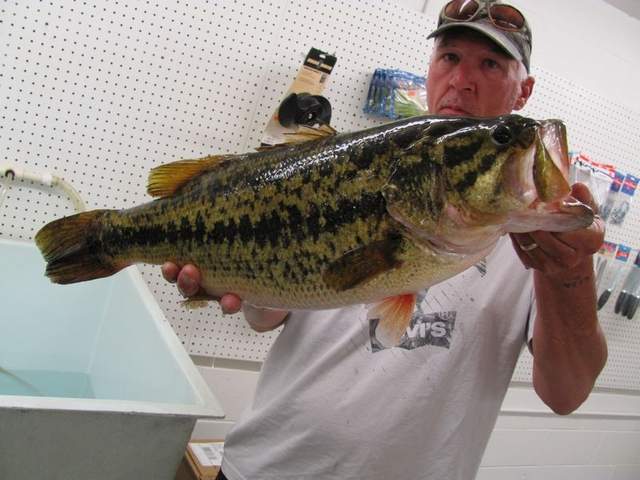 Delaware Record Largemouth Caught and Released