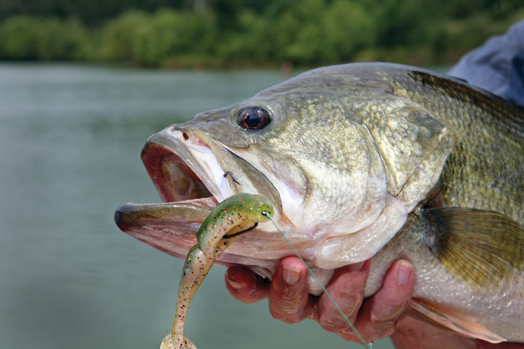 Mississippi's Top Fishing Spots For April