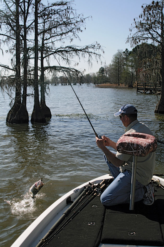 4 Top Spots For South Carolina Largemouth Bass Fishing - Game & Fish