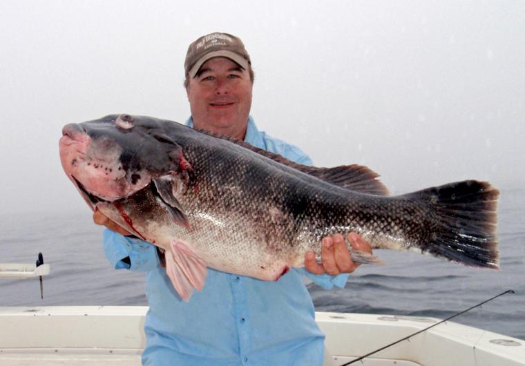 Angler Lands Virginia Record Tautog