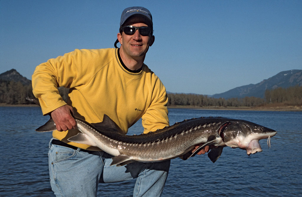 Back-Bouncing For Columbia River Sturgeon
