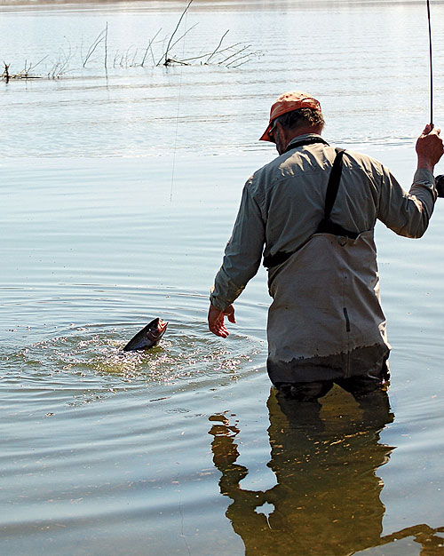 The Minimalist Approach to Fly Fishing