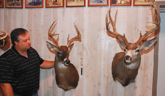 Help Us Help You: Taxidermy Tips for Sportsmen