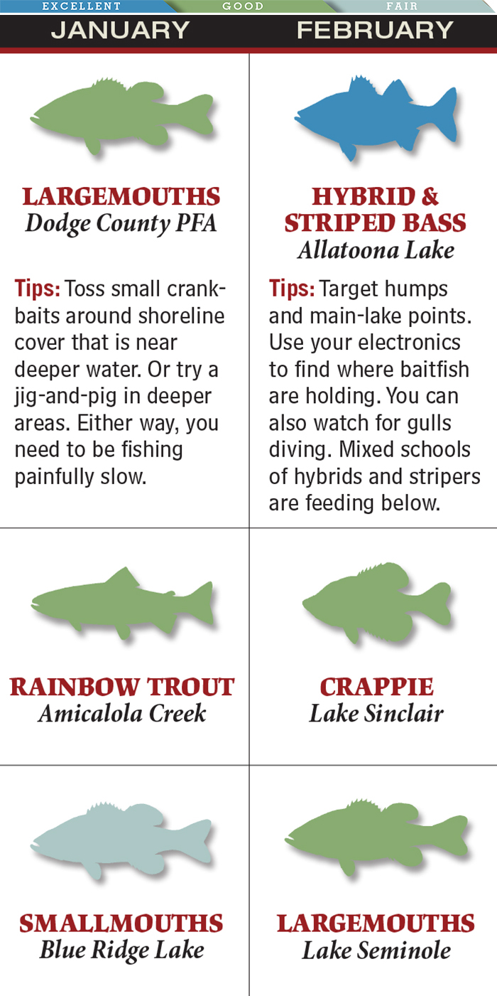 Top Options for February Crappie Fishing in Georgia