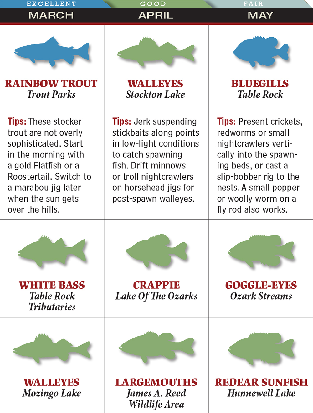 Your Best Spring Fishing in Missouri