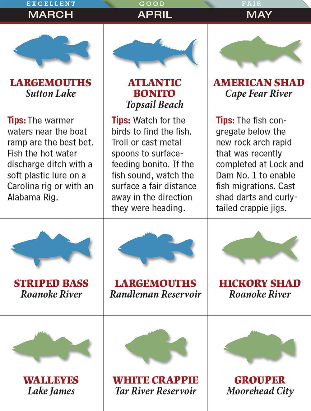 Tommy's Shad Dart Chart/Chart