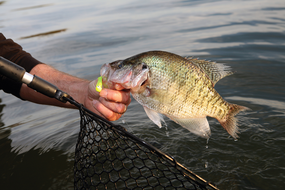 Your Best Spring Fishing in Kentucky
