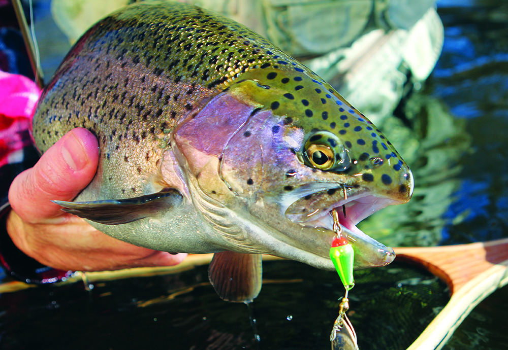 Your Best Spring Fishing in Wyoming