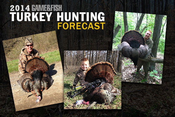 spring turkey hunting, where to hunt turkeys, where to go turkey hunting