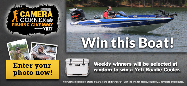 GF-fishinggiveaway-650x300