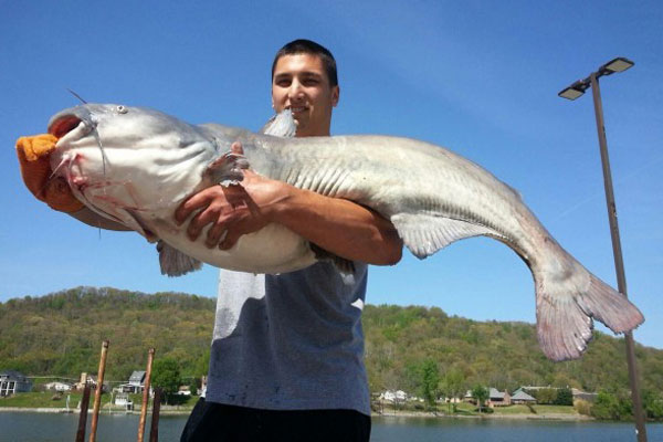 Man Catches New West Virginia State Record Blue Catfish