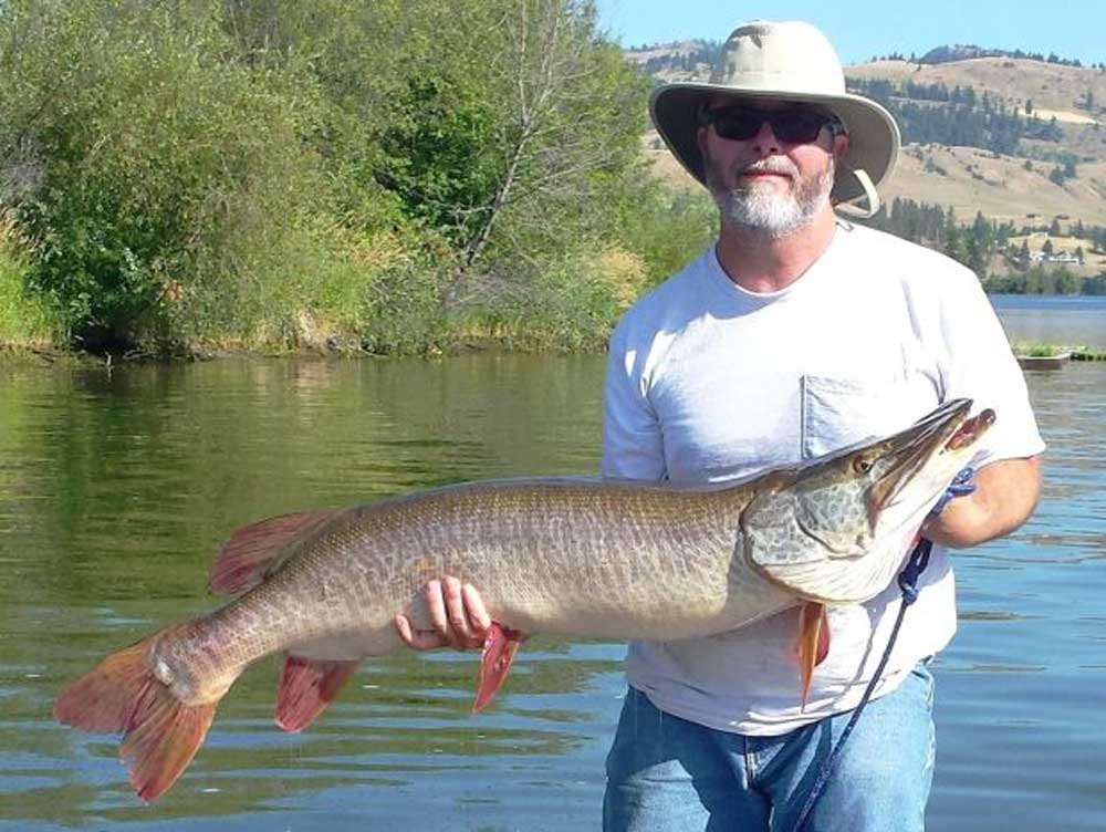 State-Record Tiger Muskie Caught in Washington