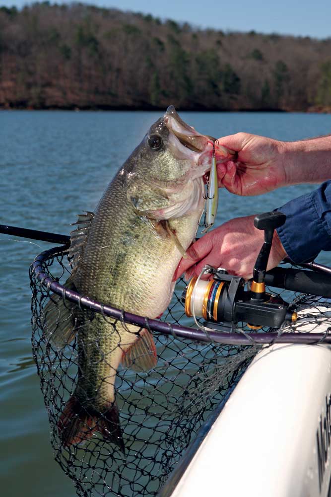 6 Go-To Crankbait Strategies for Cold Weather Bass 