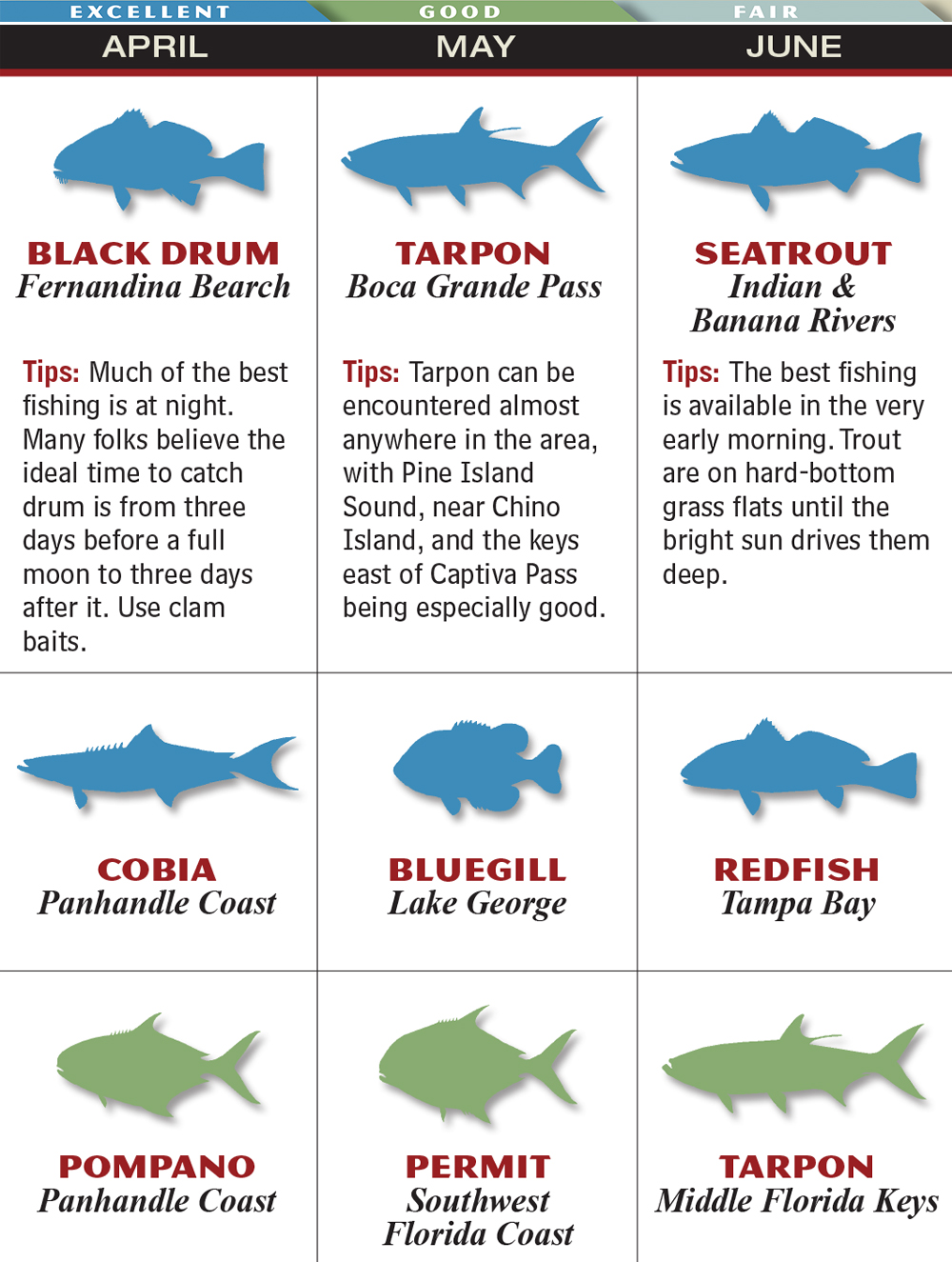 Florida 2015 Fishing Calendar Game & Fish