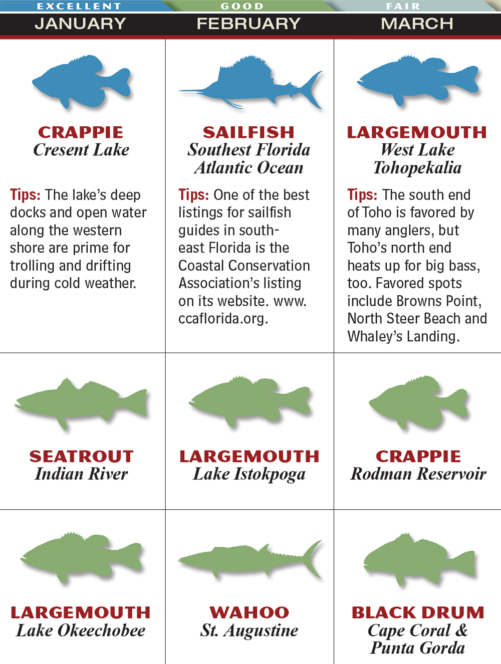 Florida 2015 Fishing Calendar Game & Fish