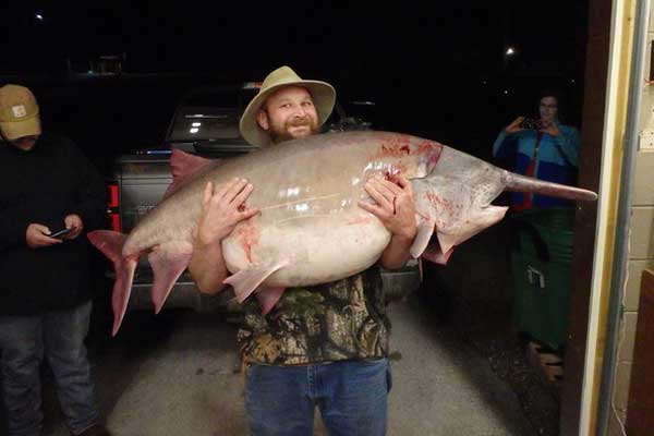 Missouri Angler Catches 140-Pound State Record Paddlefish