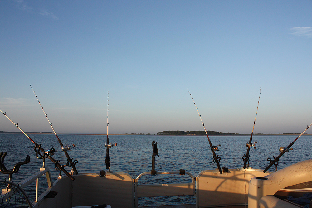 South Carolina Catfish Forecast for 2015