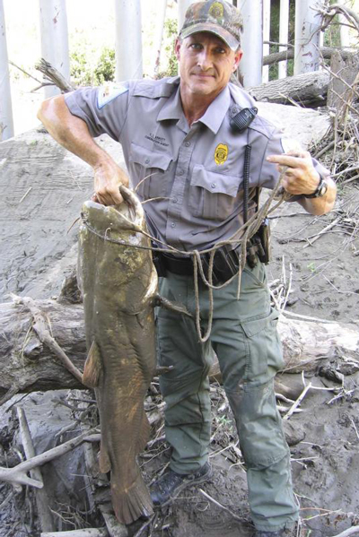 5 Tips To Catching a Catfish Poacher