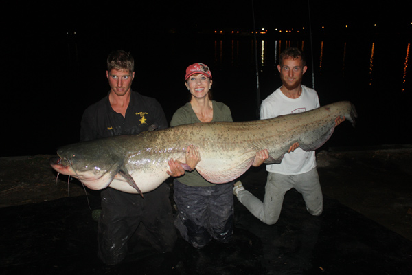 Battle of the Beast: Giant Wels Catfish