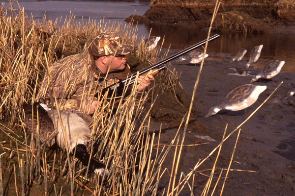Late-Season Duck Hunting Tips