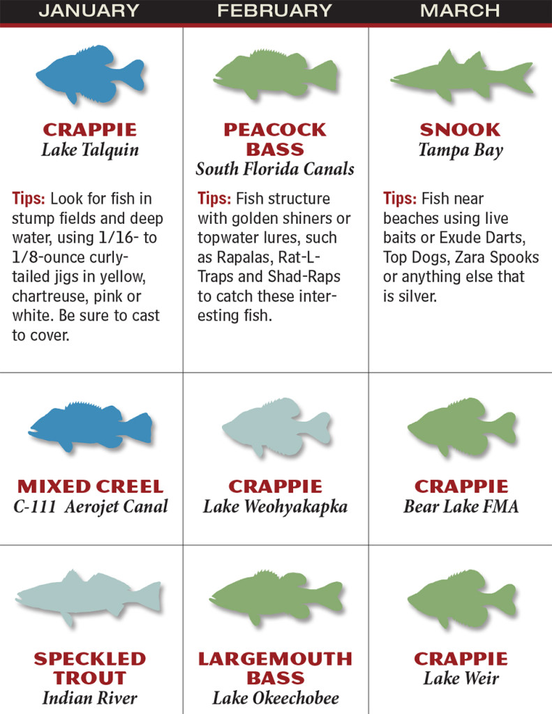 Florida 2016 Fishing Calendar - Game & Fish