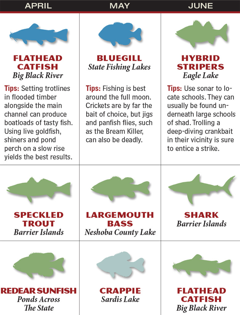 Mississippi 2016 Fishing Calendar - Game & Fish