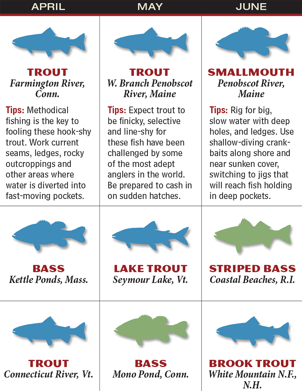 New England 2016 Fishing Calendar