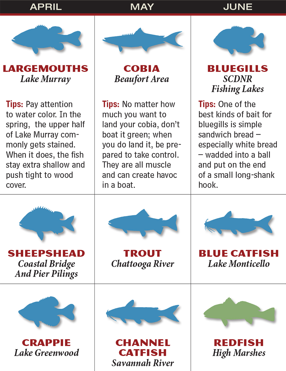 South Carolina 2016 Fishing Calendar