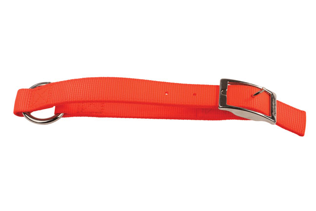 Collar for deer dog training