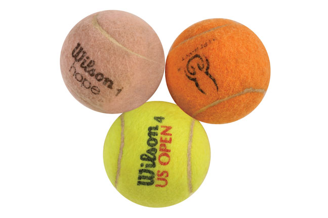 Tennis balls for gun dog training