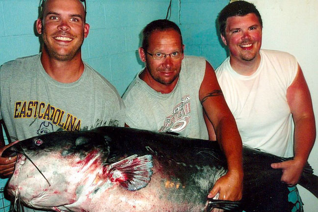 Blue Catfish caught by Richard Anderson