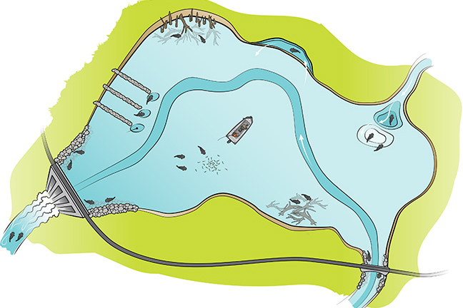 Catfish Location Illustration