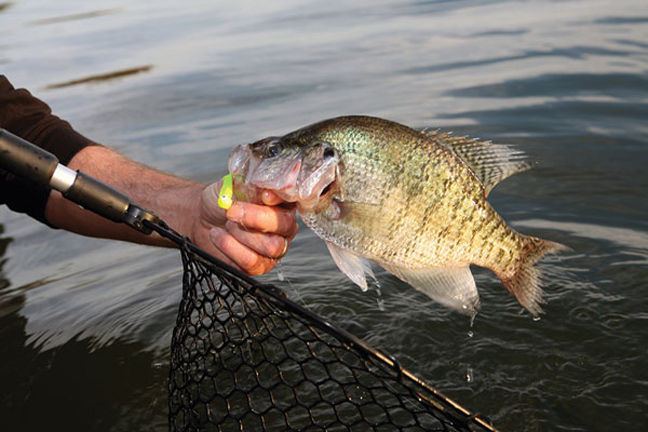 Tips to Catch Winter Panfish - Game & Fish