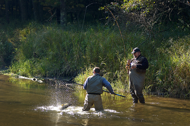 Tight lines! Here's where a local guide can really help you get on fish and land them.