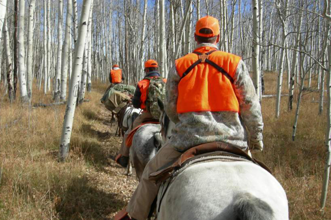 Western Elk Hunting Forecast