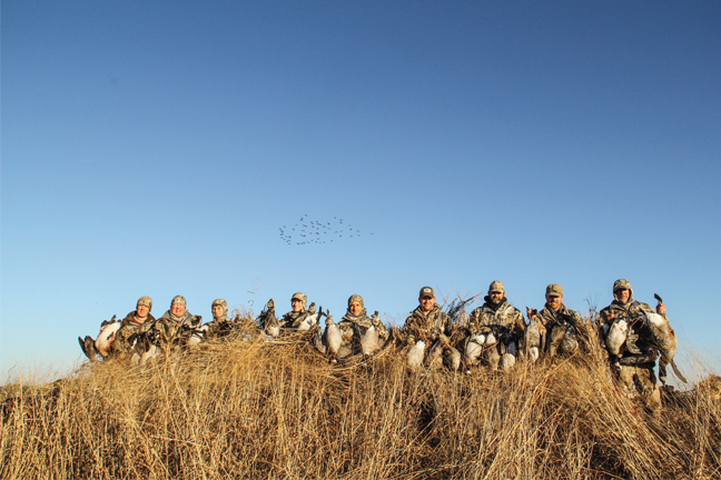 Motion Decoys Group