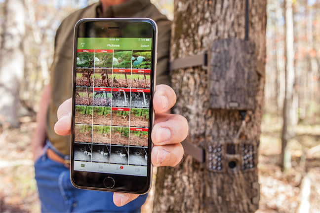 Wireless Trailcam Feature