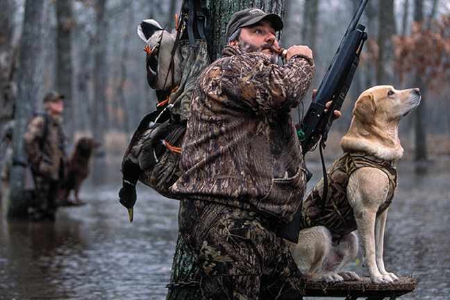 Duck Hunting Tips for Wary Waterfowl