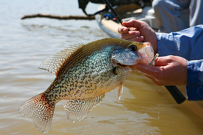 Great Plains crappie fishing