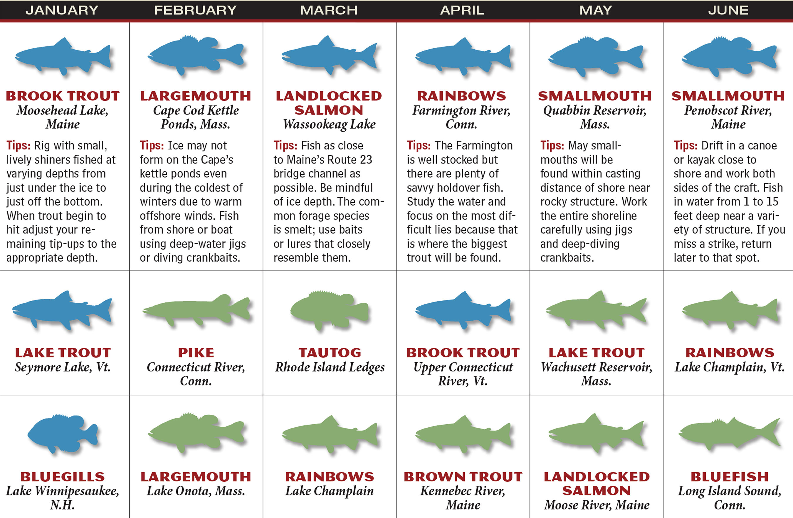 2017 New England Fishing Forecast Game Fish