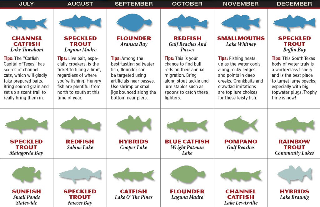 2017 Texas Fishing Forecast Game Fish